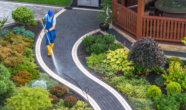 Best Roof Power Washing Services  in Rion Center, MA
